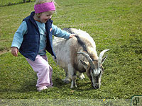 Kind mit Ziege