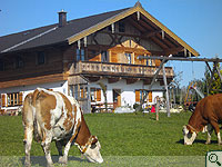Der Moierhof